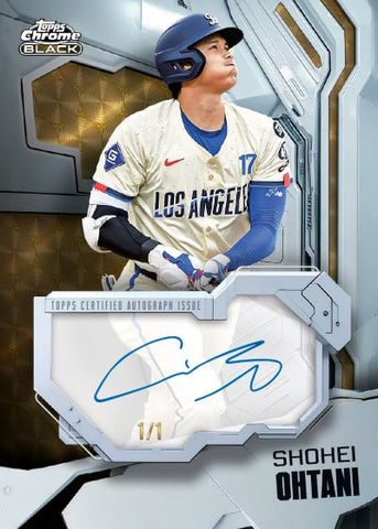 #3 - CHROME BLACK HALF CASE PYT (5/3 BREAK)