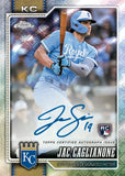 #1 - LOGOFRACTOR *10 BOX HALF CASE* PYT (9/3 BREAK)